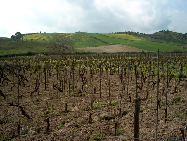 Landschaft in Kalabrien