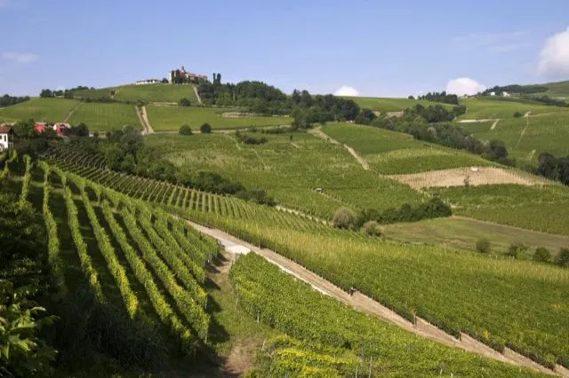Landschaft in Piemont